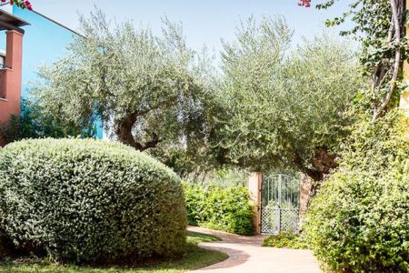 Borgo Degli Ulivi Appartement