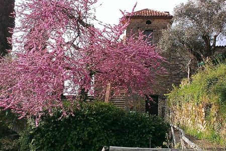 Agriturismo Il Vecchio Casale