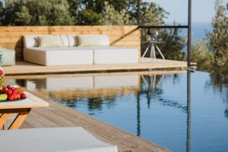 Five Olive Dream Trip